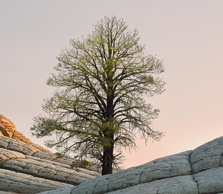 包含500个 sortation  product 🌹 👌  #¥#*&* *哈哈哈*