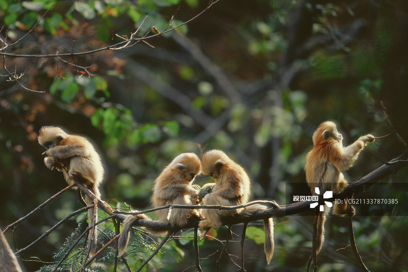 【add to cart】多规格商品-部分售罄