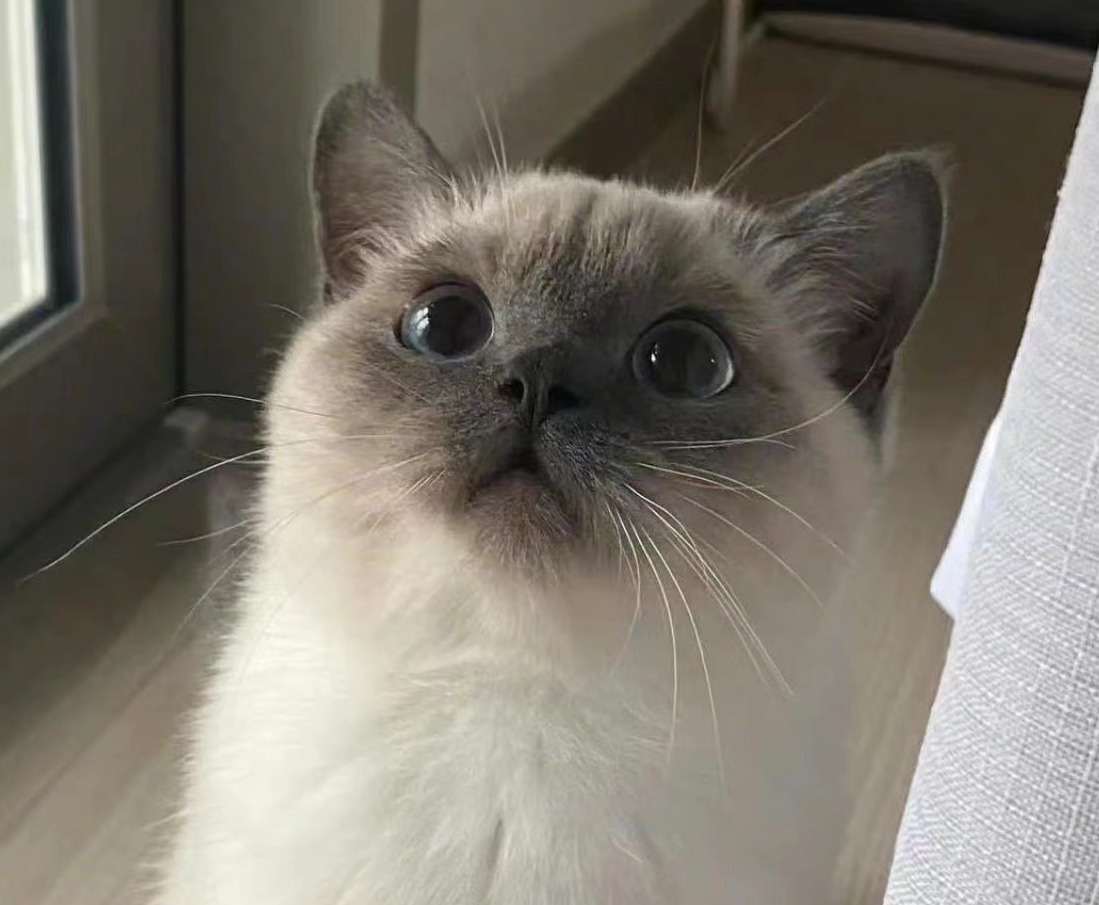 [Copy]【【多款式切换单款式商品标题